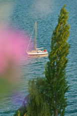 Mainau 0955-2013, Blick von Mediterranterrasse auf Segelboot