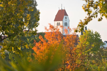 Immenstaad 1050-2014, Herbstliche Ufervergetation und Kirche St