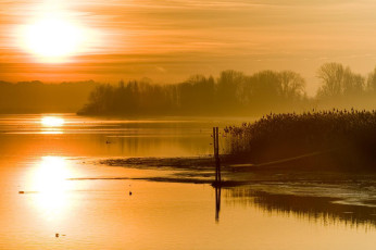 Iznang 061-2008, Ufer im Morgenlicht