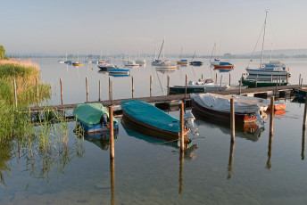 Iznang 085-2009, Ufer und Boote im Morgenlicht