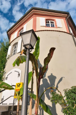 Mainau 1480-2015, Gärtnerturm im Morgenlicht