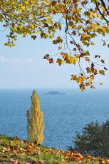 Mainau 1611-2015, Herbstlicher Blick von der Frühlingsstrasse z