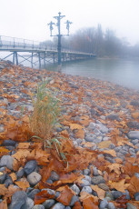 Mainau, Schwedenkreuz im Herbstnebel HOCH