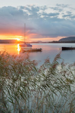 Mammern 0049-2012, Boote und Schilf im Sonnenuntergang