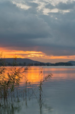 Mammern 0056-2012, Schilf am Untersee im Abendrot