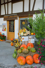 Markdorf 0275-2007, Hofladen Gutenbergstrasse