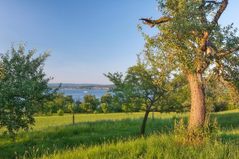 Konstanz 0869-2014, Streuobstwiese zwischen Staad und Egg mit Se