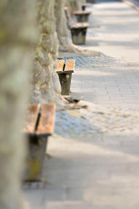 Meersburg 1225-2013, Bänke und Platanen an der Uferpromenade
