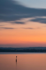 Meersburg 1421-2014, Seezeichen im Abendrot