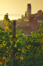 Meersburg, Blick vom Fürstenhäusle 04 HOCH