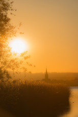 Moos 0116-2012, Schilf und Radolfzeller Münster im Sonnenaufgan