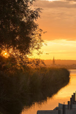 Moos 0123-2012, Schilf und Radolfzeller Münster im Sonnenaufgan