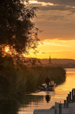Moos 0127-2012, Schilf und Radolfzeller Münster im Sonnenaufgan