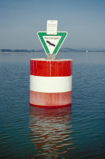 Radolfzell, Boje Naturschutzgebiet Mettnau HOCH