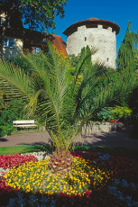 Radolfzell, Stadtgarten mit Höllturm HOCH