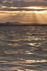 Reichenau 0344-2011, Dramatischer Blick von Sandseele ins Hegau