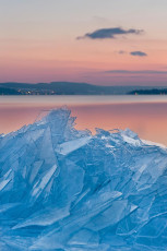 Reichenau 0476-2012, Eisschollen am Niederzeller Ufer im Abendro