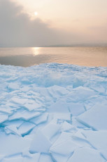 Reichenau 0489-2012, Eisschollen vor Sonne im Nebel