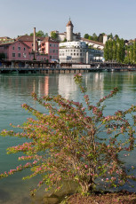 Schaffhausen 0024-2010, Blick über den Rhein auf Munot
