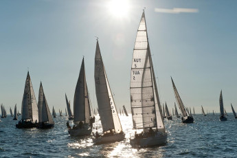 Lindau 505-2010, Rund-Um-Regatta