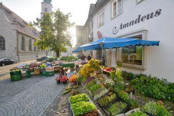Lindau 1313-2013, Wochenmarkt