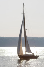 Überlingen 0431-2008, Segelboot im Gegenlicht