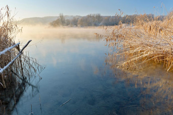 Ludwigshafen 0251-2012, Verschneites Seeufer mit Schilf vor dem