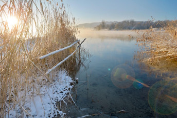 Ludwigshafen 0253-2012, Verschneites Seeufer mit Schilf vor dem