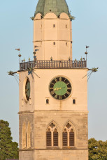 Überlingen 1809-2015, Blick vom Gallerturm auf Münster