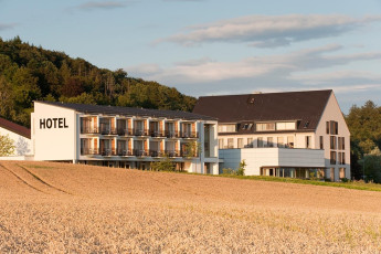Hegne 0470-2009, Kornfeld vor Hotelgebäude