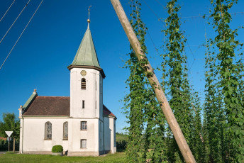 Kressbronn 0400-2015, Sebastianskapelle Betznau und Hopfenfeld