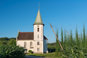 Kressbronn 0410-2015, Sebastianskapelle Betznau und Hopfenfeld