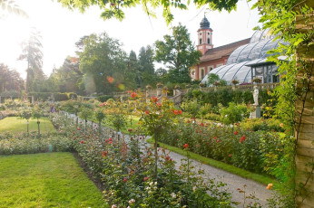 Mainau 205-2008 C, Italienischer Rosengarten