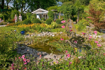 Mainau 229-2008, Redaktionsgarten