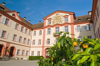 Mainau 255-2008, Zitrussammlung am Schloss