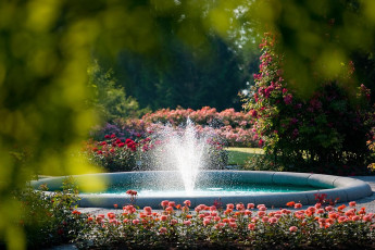 Mainau 330-2010, Springbrunnen im Italienischen Rosengarten