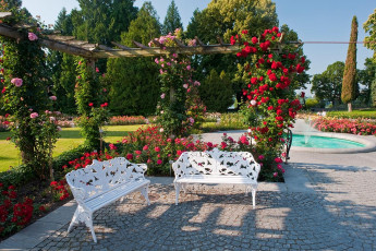 Mainau 355-2010, Bänke im Italienischen Rosengarten