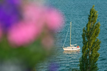Mainau 0945-2013, Blick von Mediterranterrasse auf Segelboot