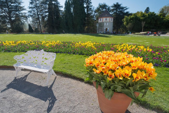 Mainau 1354-2015, Tulpenblüte vor dem Schloss, Bank und Gärtne