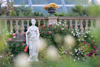 Mainau 1461-2015, Marmorstatue 'Frühling' im Italienischen Rose
