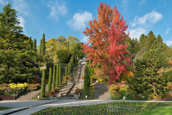 Mainau 1613-2015, Italienische Wassertreppe im Herbst