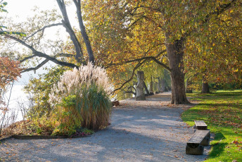 Mainau 1630-2015, Herbst am Südufer