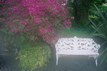 Mainau, Bank an der Mediterranterrasse