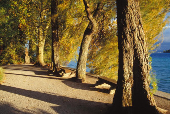 Mainau, Herbst am Südufer