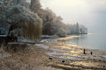 Mainau, Winterstimmung am Südufer