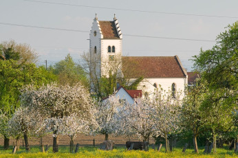 Markdorf 0455-2008, Bergheimer Kirche