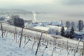Maurach, Kloster und See im Winter