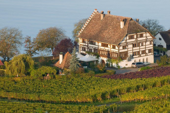 Meersburg 299-2008, Gasthaus Haltnau im Herbst