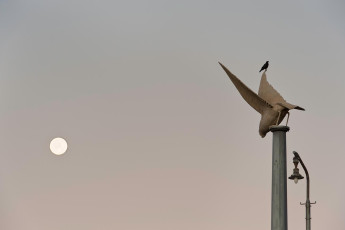 Meersburg 0715-2011, Vollmond über Lenks Magischer Säule
