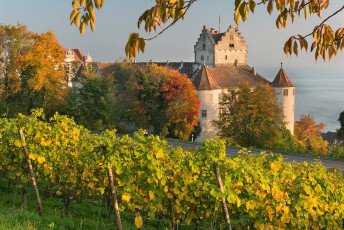 Meersburg 0996-2012, Burg und Weinberg im Herbst